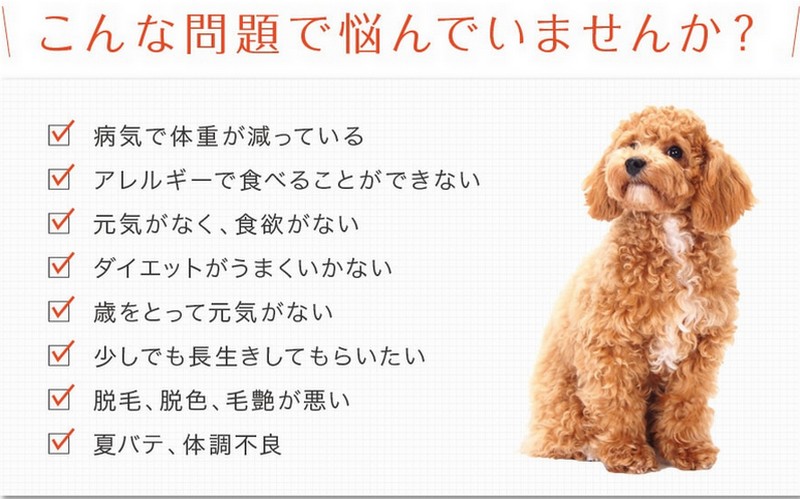 npp~`TCg